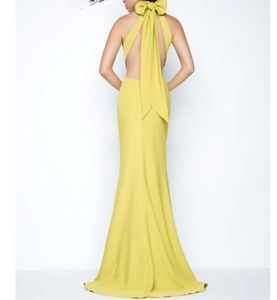 NWT Open back gown